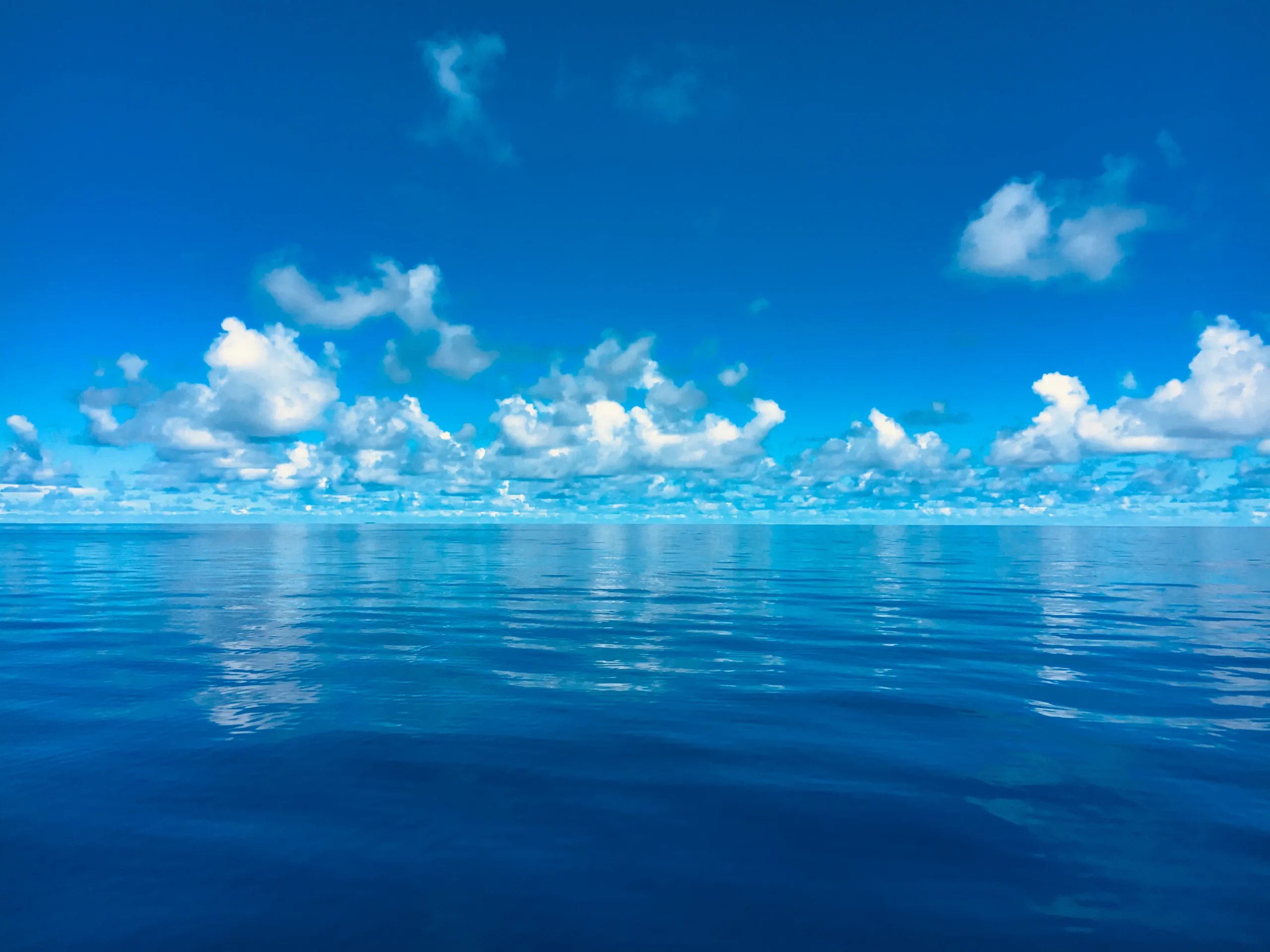 Urlaub - Kojencharter